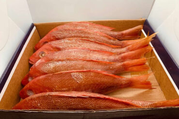 Kingfish – WBH Seafood LLC